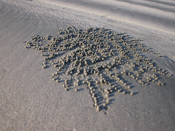 P3123310-crab-sand