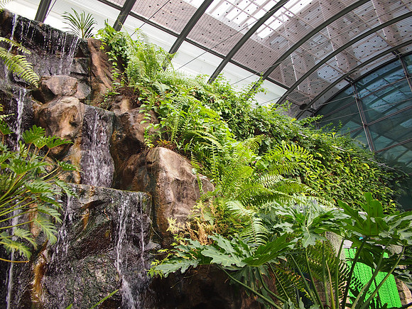 P4115072-butterfly-garden-waterfall