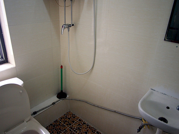 P3284051-nagaland-bathroom