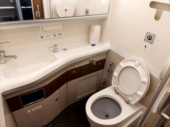 20240427_104808-toilet