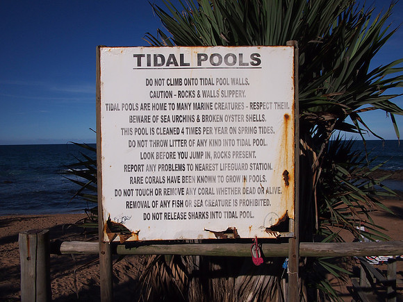 P5025974-tidal-pools