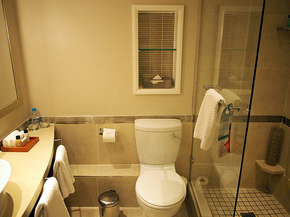 P5066526-bathroom