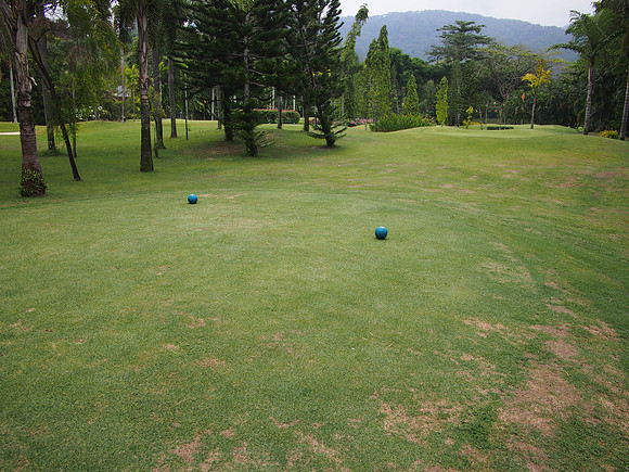P4064664-tee-off