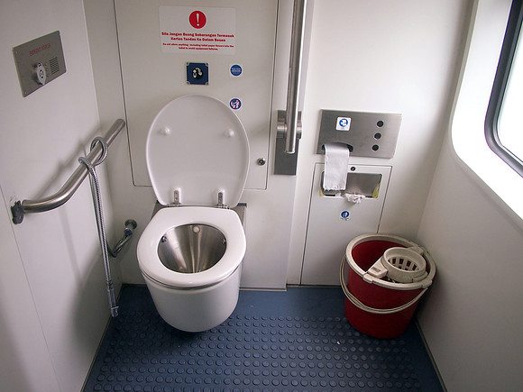 P4024365-western-toilet