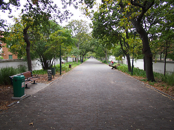 P5187242-government-ave