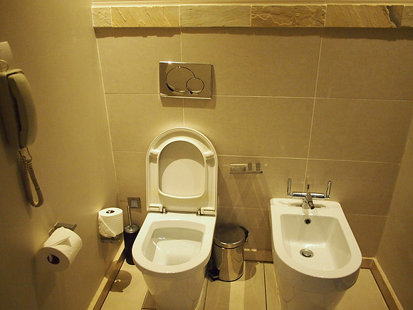 P5025936-toilet