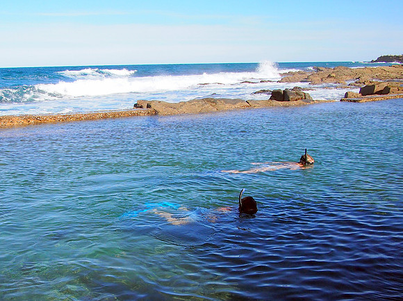 P5025952-snorkellers