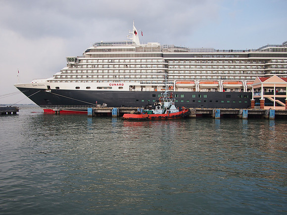 P4044549-cunard