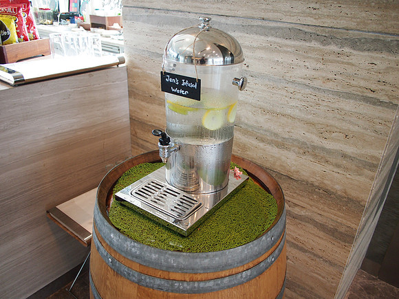 P4104902-lemon-water