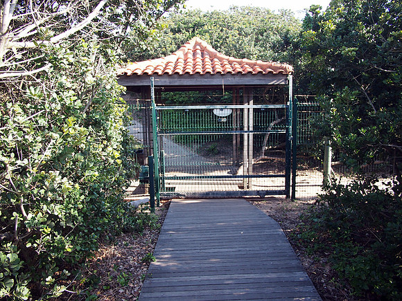 P5035993-beach-gate
