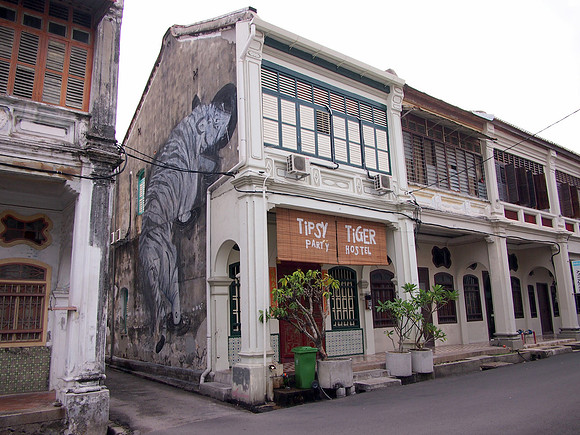 P4044481-tipsy-tiger