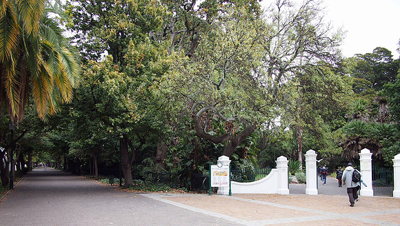 P5187238-government-ave-and-companys-garden