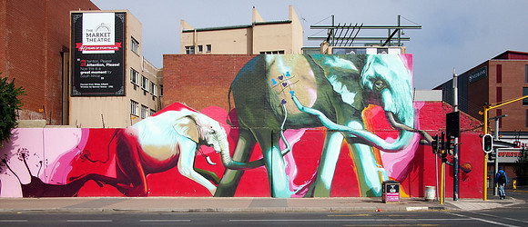 P5015831-elephants-by-falko