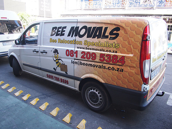 P4305734-bee-movals