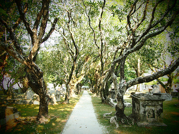 P4084805-protestant-cemetery
