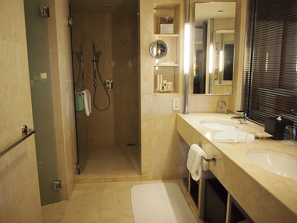 P4064681-bathroom