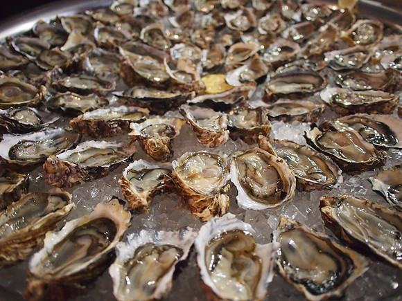 P4305707-oysters