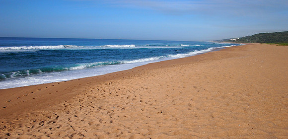 P5035992-beach-front