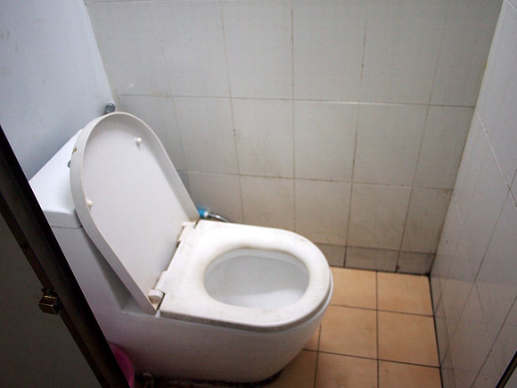 P3072921-western-toilet