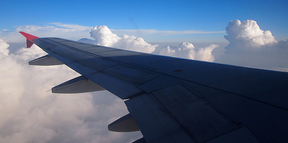 P3284024-wing-view