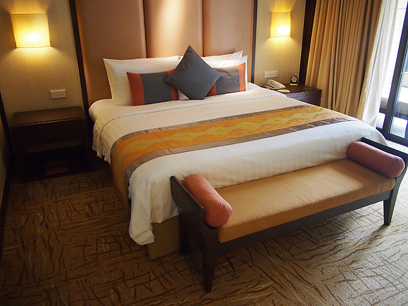 P4064667-bed