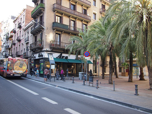 P4245519-gracia