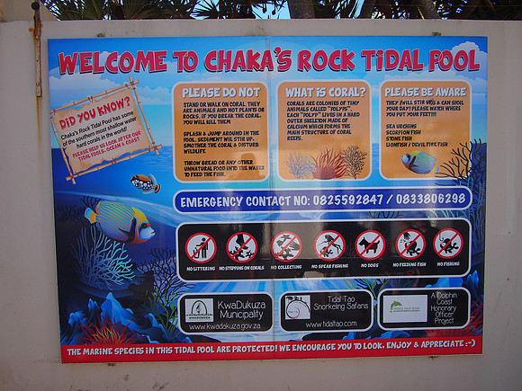P5025950-welcome-to-chakas-rock-tidal-pool