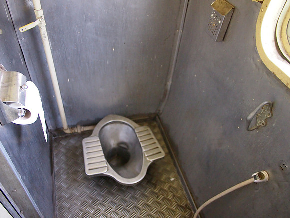 P3143426-toilet