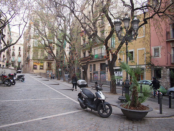 P4205473-carrer-de-les-basses-de-sant-pere