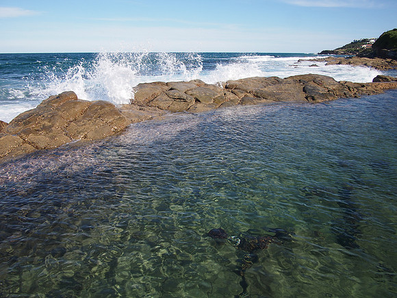 P5025968-tidal-pool