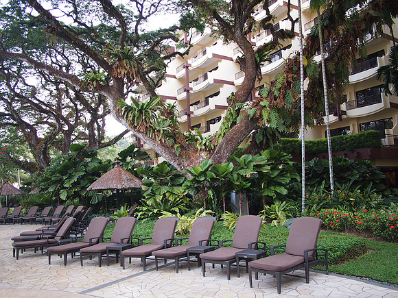 P4074718-pool-chairs