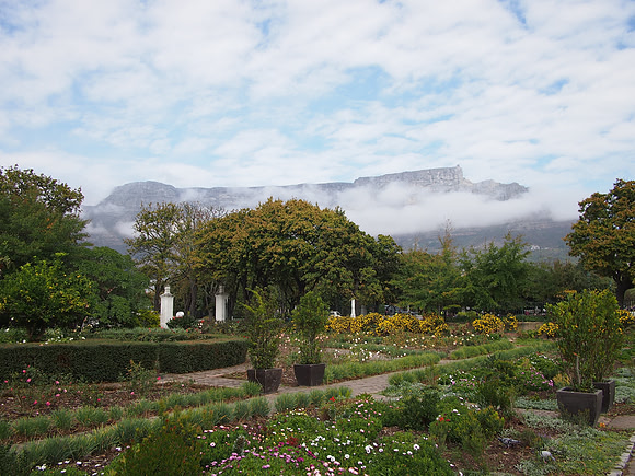 P5136949-companys-garden-view