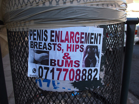 P4305726-enlargement
