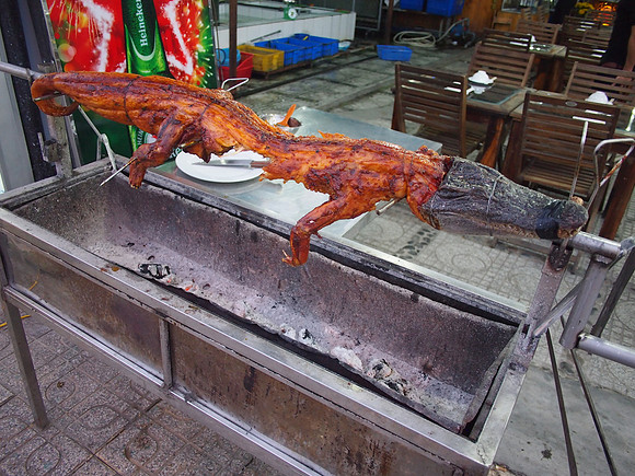 PC289425-croc-on-a-spit
