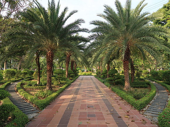 IMG_7632-hung-vuong-park