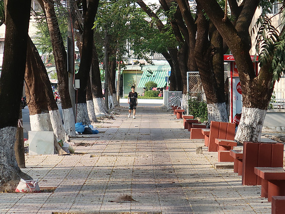 IMG_7636-park-trees