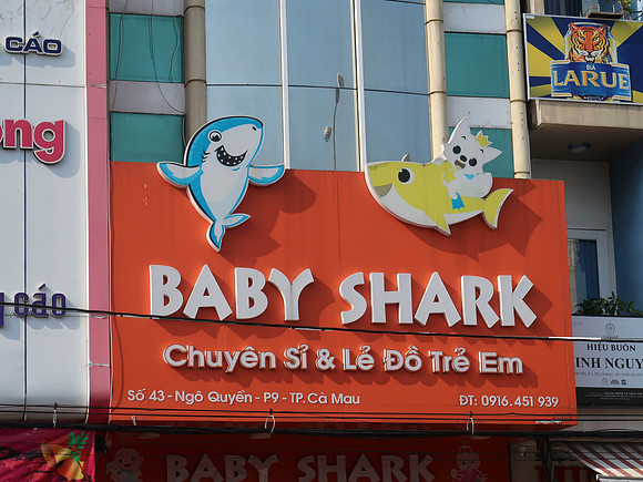 IMG_7730-baby-shark