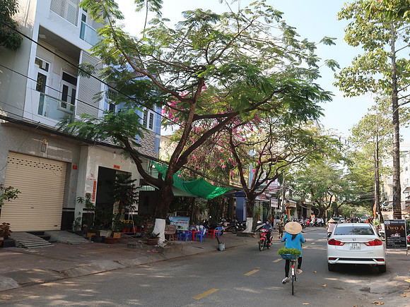 IMG_7737-ly-thai-ton