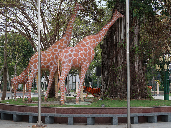 IMG_7977-giraffes