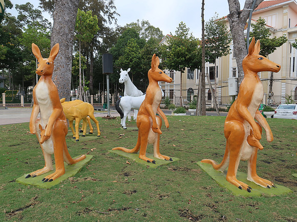 IMG_7978-kangaroos