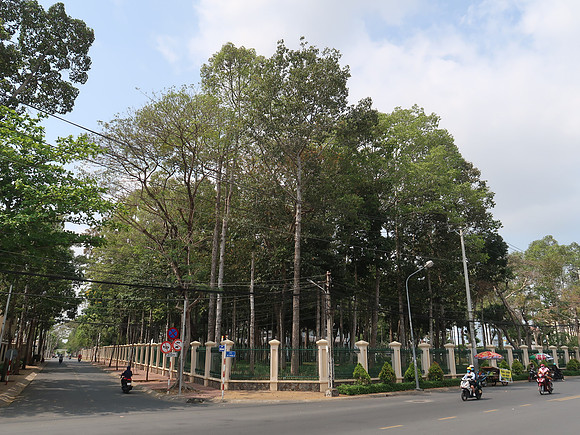 IMG_8100-tran-phu
