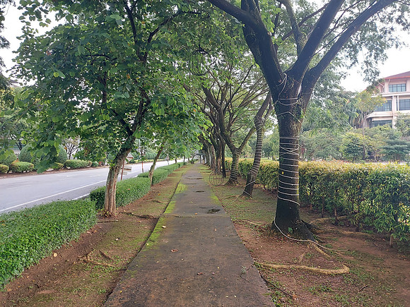 20230723_102544-footpath
