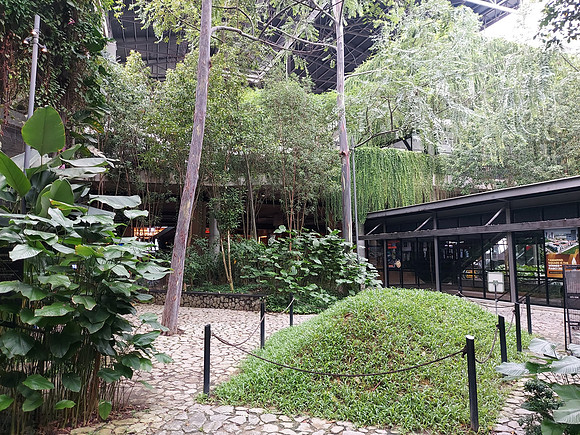 20230723_123646-tamarind-garden