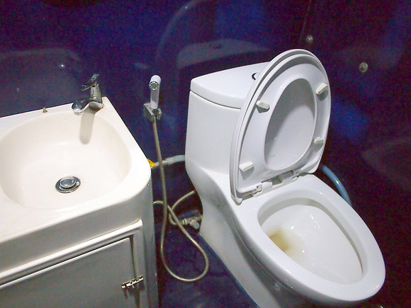 P2280080-toilet