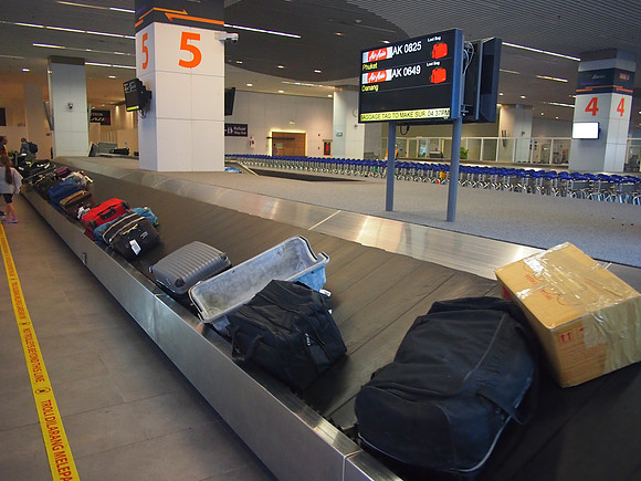 P3090556-baggage