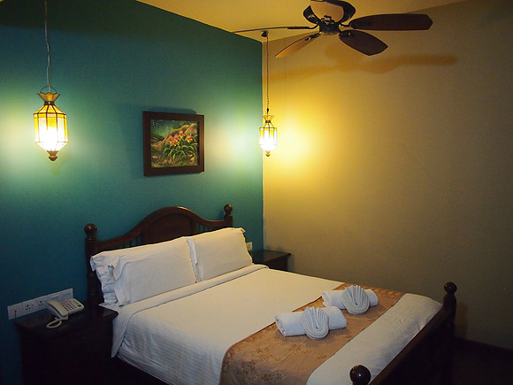 P3090565-bed