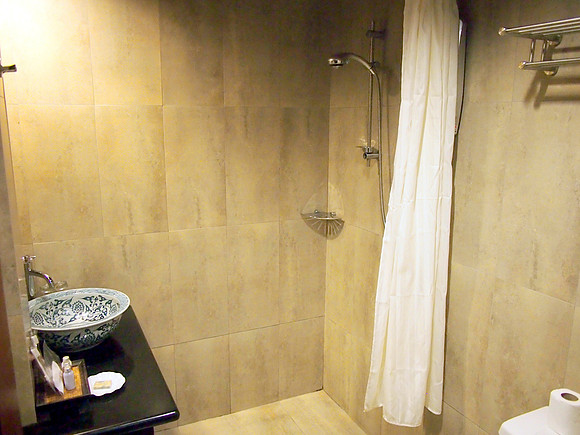 P3090569-bathroom