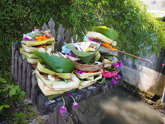 P3120724-offerings