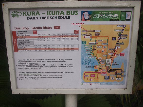 P3120757-kura-kura-bus