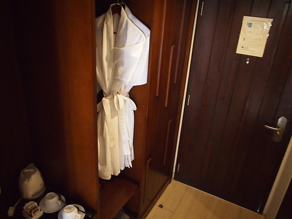 P3130793-dressing-gown